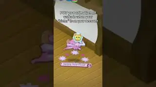 animal jam drama was crazy tbh