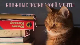 Моя библиотека | Показываю книги