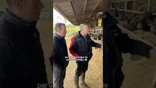A French Wagyu farm 🐂🇫🇷