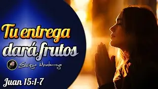 Tu entrega dará frutos