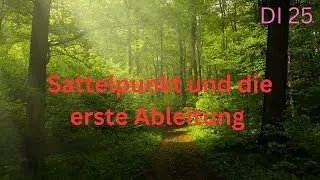 Sattelpunkt und die erste Ableitung (DI 25)