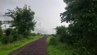 Nature Walk