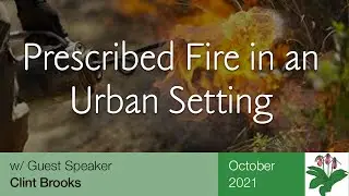 Prescribed Fire in an Urban Setting
