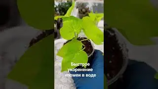 19 марта 2024 г.