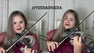 Violin Cover Me In Sunshine - Pink, Willow Sage Hart
