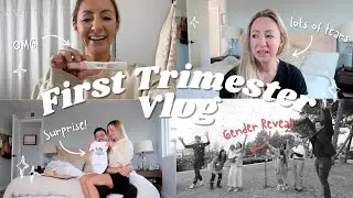 First Trimester Vlog + How I Tell My Husband, Recipes, Gender Reveal, Park City, & Lots Of Tears 💗💙