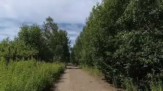 За иван чаем, иду, разговариваю