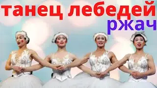 ТАНЕЦ ЛЕБЕДЕЙ! приколюхи ржач засмеялся подписался лучшие приколы ведущий на свадьбу