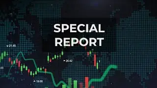What is special report