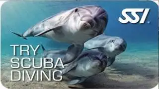 Try Scuba Intro