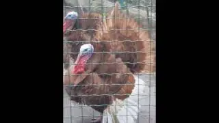 20170409 130745