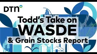 January 2024 WASDE + USDA Grain Stocks Report