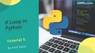 Introduction To IF Loop In Python | Programming Tutorial 5 | 