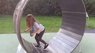 Hamster wheel fun