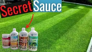The Secret to Lush Lawns! Anti stress mix!