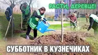 «Расти, деревце!» Субботник в Кузнечиках