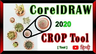 Crop tool || Coreldraw 2020 | Beginner tutorials | Detail || IN HINDI .