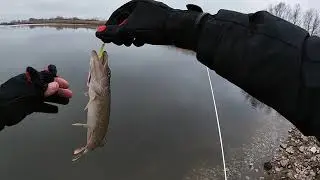 Рыбалка на ультралайт, завершение сезона 2019.