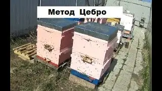 Крах метода Цебро