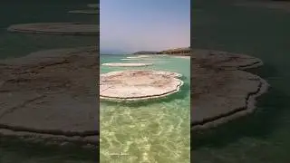 The Dead Sea salt crystal mushrooms Israel 2024