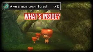 Persimmon Coryn Forest & Full Dye List [ToramOnline]