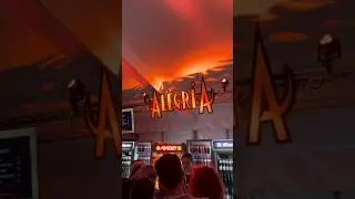 Мысль дня 29.08.2024 #242