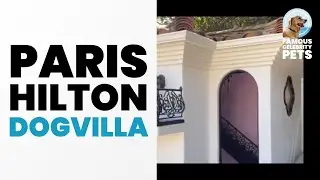 Is This the Villa Where Paris Hilton’s Dogs Live?🐈🏡