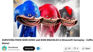 Weirdest Minecraft Videos Ever