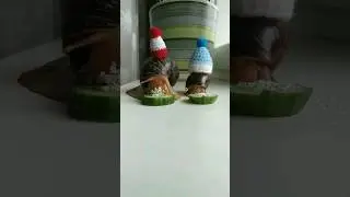 who will eat a cucumber faster!?😂