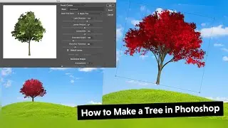 How to Make a Tree in Photoshop 2020