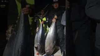 This Is Fun.  Come Have Some. Oliver@bigbassdreams.com