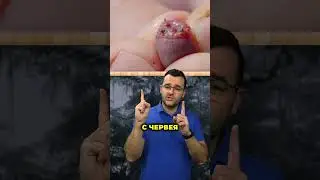 Интересни създания на природата