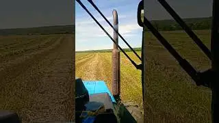 Мы на сенокосе! мтз 1221