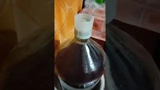 Сок на брожении, гидрозатвор.