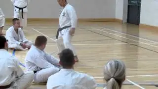 Kagawa-sensei demonstrates yokogeri keage and kekomi 