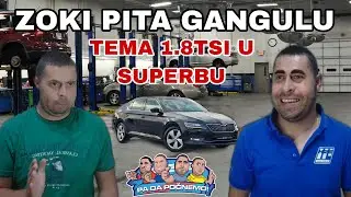 ZOKI PITA GANGULU - TEMA 1.8TSI U SUPERBU