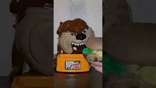 Satisfying video Asmr/ Mad dog 🐕 got the burger #shorts #asmr