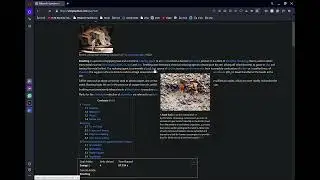 Wikipedia Speedruns | Daily Prompt | 24/07/24