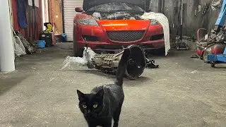 ТРЭШ RX8 НА V8 СМОТРЕТЬ ДО КОНЦА.