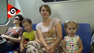 Мисс Кэти и Мистер Макс / Miss Katy & Mister Max