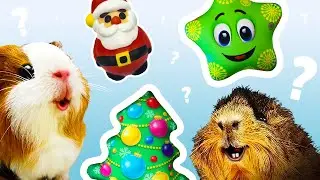 НОВЫЕ АНТИСТРЕССЫ у БУЗИ и КУЗИ! Распаковка подарков!