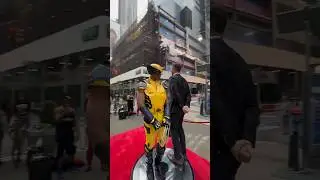 Wolverine dancing is a rare site