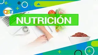Nutrición - Lunes 21 octubre  2024
