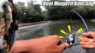 MEMANCING IKAN HAMPALA BESAR BONUS IKAN BALON BUNTAL || Reynold sb 16/8/19