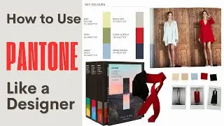 How to Use Pantone Books Like a Pro | Essential Tool for Designers & Fashion Experts