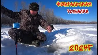 ЛОВЛЯ РАЗНОЙ РЫБЫ НА МОРМЫШКУ! ТРУДОВАЯ РЫБАЛКА В ФЕВРАЛЕ 2024. ПОДВОДНАЯ  СЪЁМКА РЫБ.