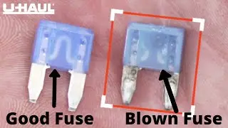 Blown Fuse? How to Test Your Fuses.