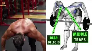 REAR DELT NEUTRAL GRIP BARBELL ROW #shorts