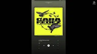 Ecco la mia playlist