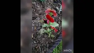 27 мая 2021 г.